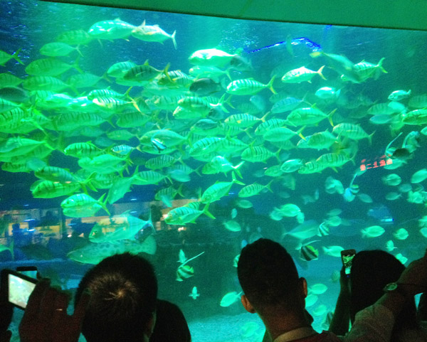 5000噸水海洋館